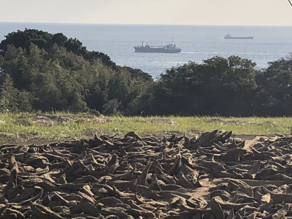 土佐宗田節 Taiju(たいじゅ)高知県・土佐清水市 宗田鰹のだしや清水さばの通販